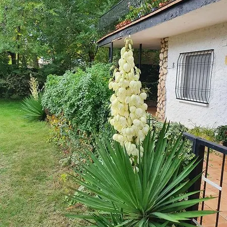 Holiday home La Casa De La Ribera Del Cega Viana de Cega