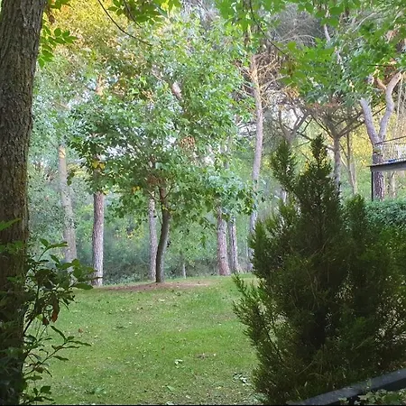 La Casa De La Ribera Del Cega Holiday home