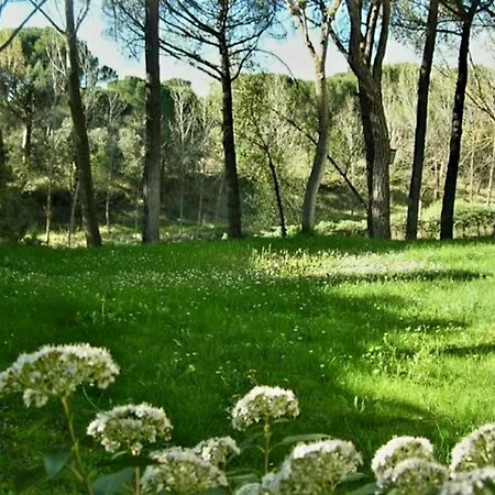 Holiday home La Casa De La Ribera Del Cega *