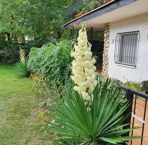 Casa vacanze La Casa De La Ribera Del Cega Viana de Cega